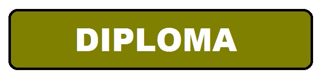 Diploma program